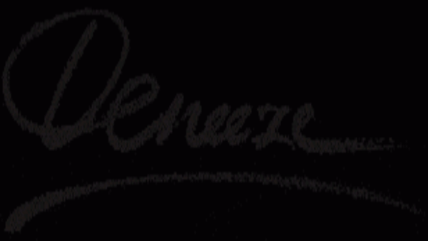 Portfolio poster Deneeze