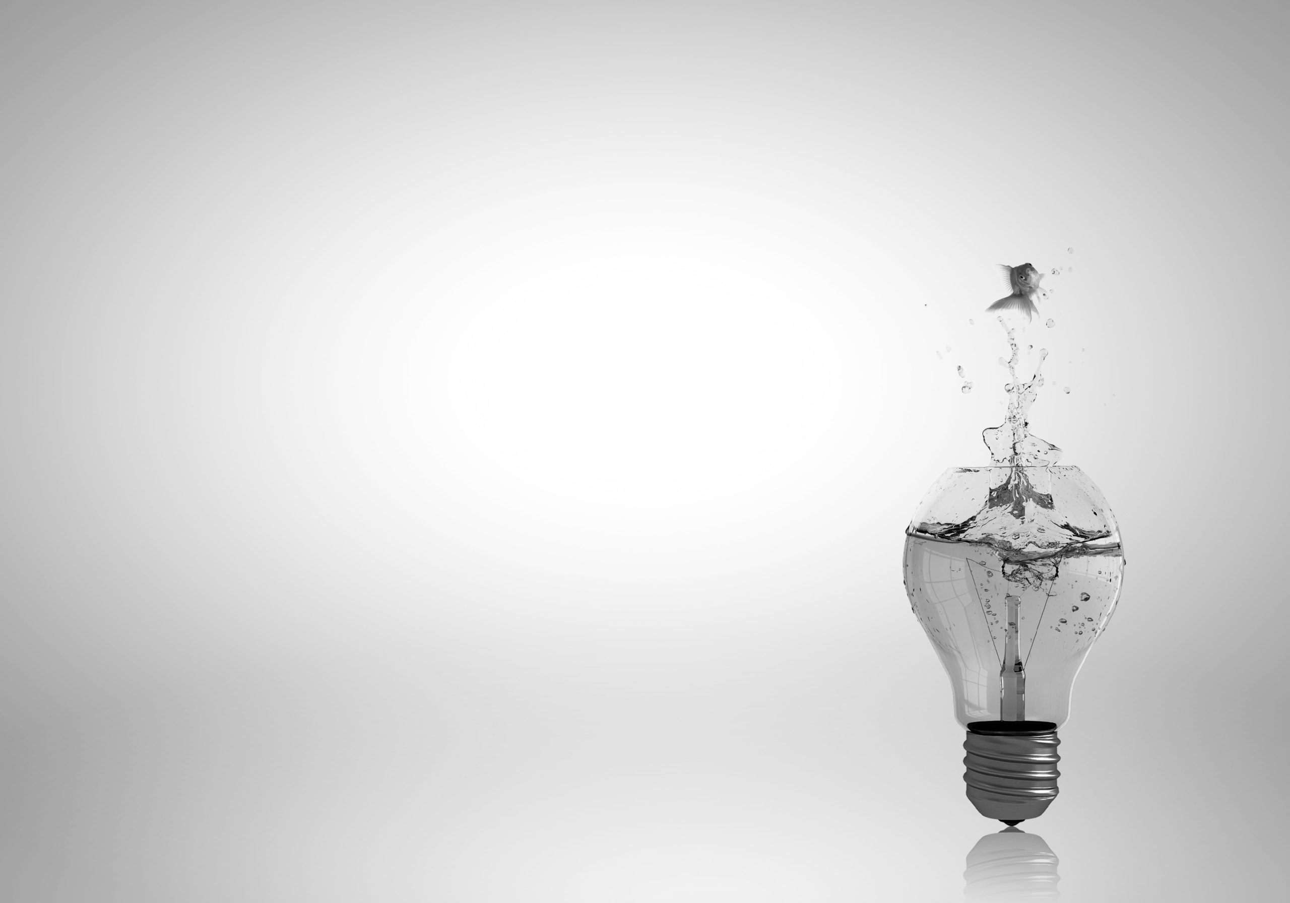 A Guide to COVID-19 and Your Finances